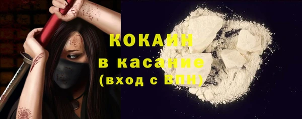 хмурый Пересвет