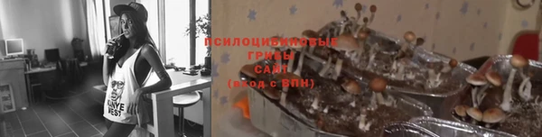 спайс Осташков