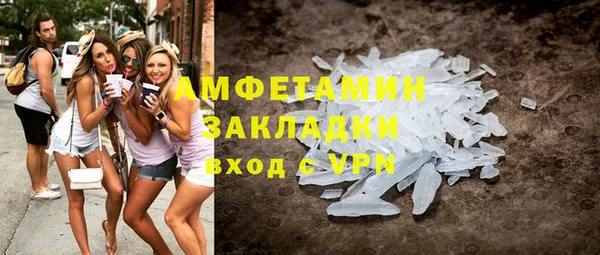 хмурый Пересвет