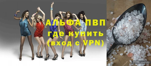 хмурый Пересвет