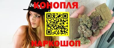 индика Дубна