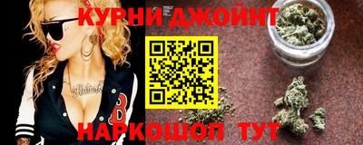 индика Дубна