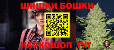 индика Дубна