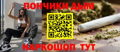 индика Дубна