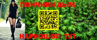 индика Дубна