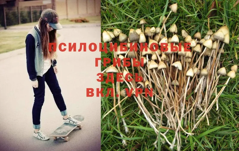 Псилоцибиновые грибы Magic Shrooms  купить закладку  Нягань 