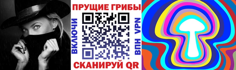 omg зеркало  Нягань  Галлюциногенные грибы Psilocybe 