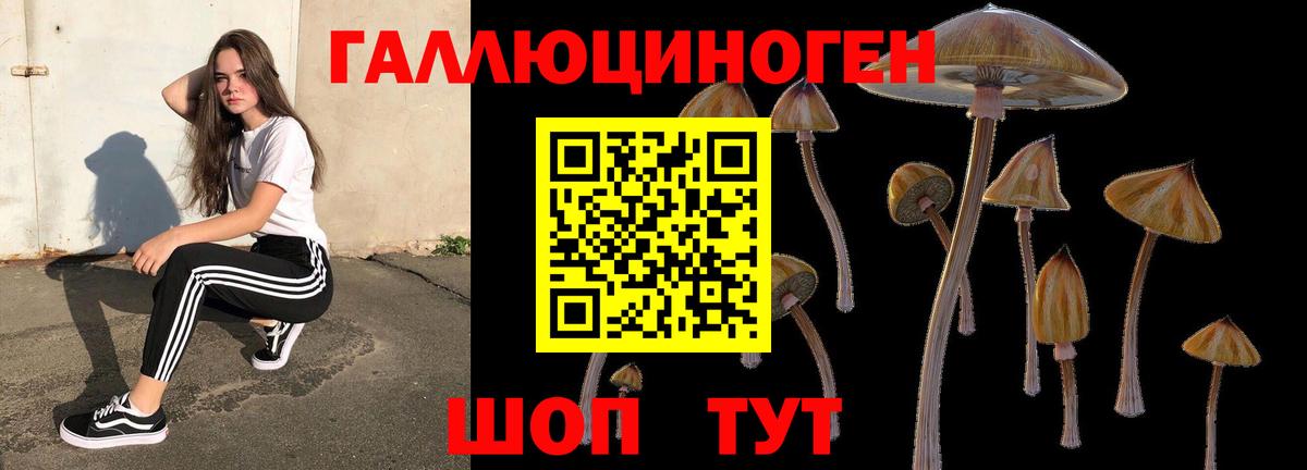Галлюциногенные грибы Psilocybine cubensis Нягань